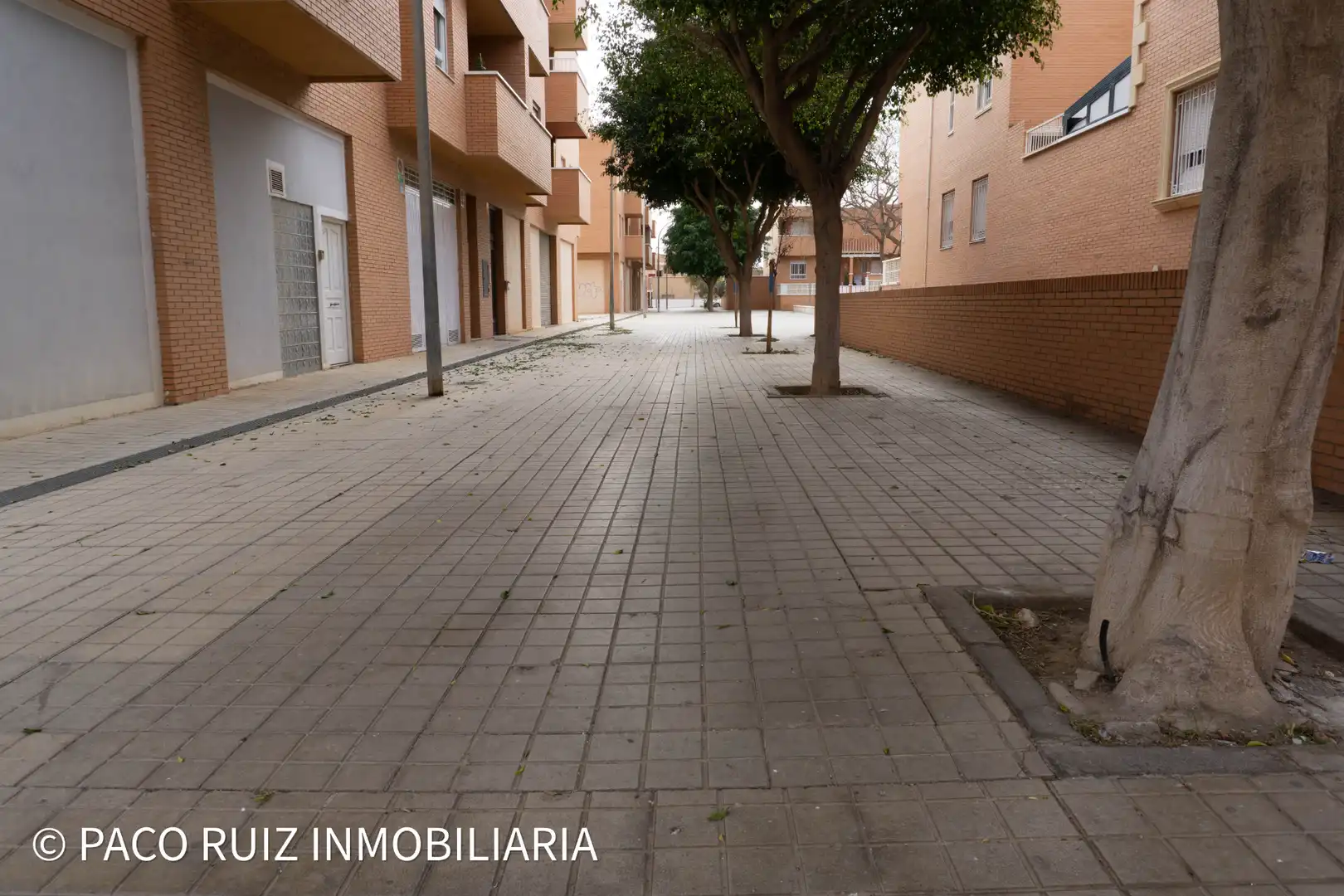 Gewerbefläche zum Verkauf in Calle Hermanos Siret 3, imagen 2