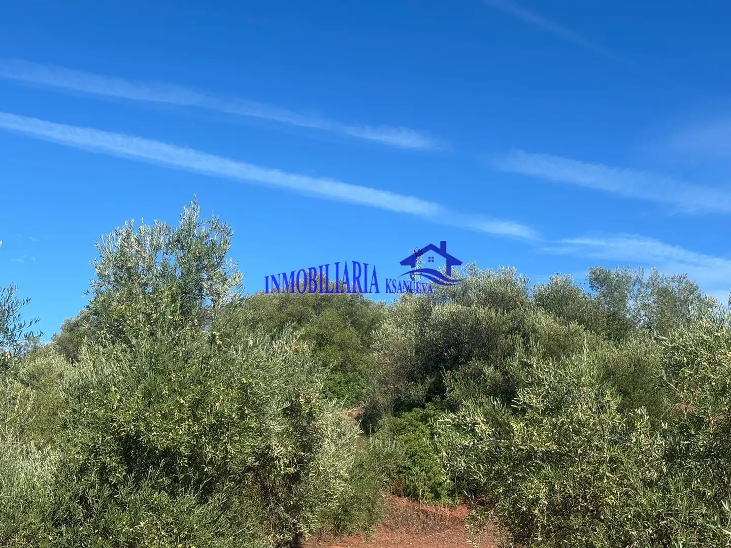 Finca rústica en venta en Lucena