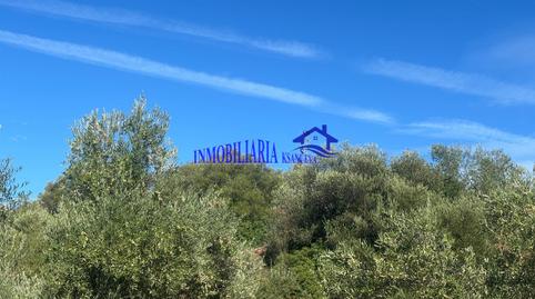 Foto 3 de Finca rústica en venda a Las Vegas - Campoaras, Lucena