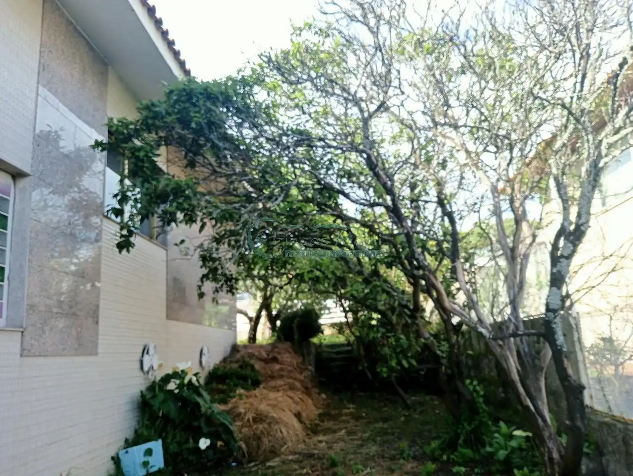 Jardín de Casa o chalet en venta en Vigo  con Calefacción, Jardín privado y Terraza