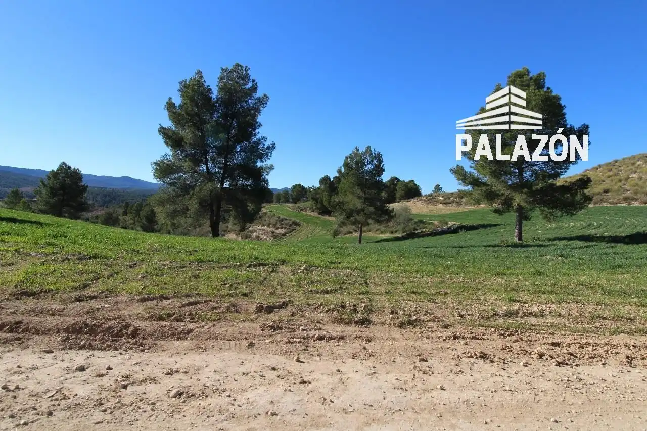 Rural land for sale in Letur, imagen 2