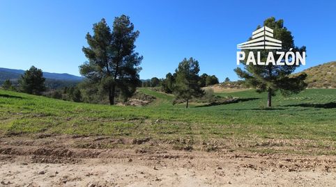 Finca de caza en venta en Letur Albacete, immagine 2