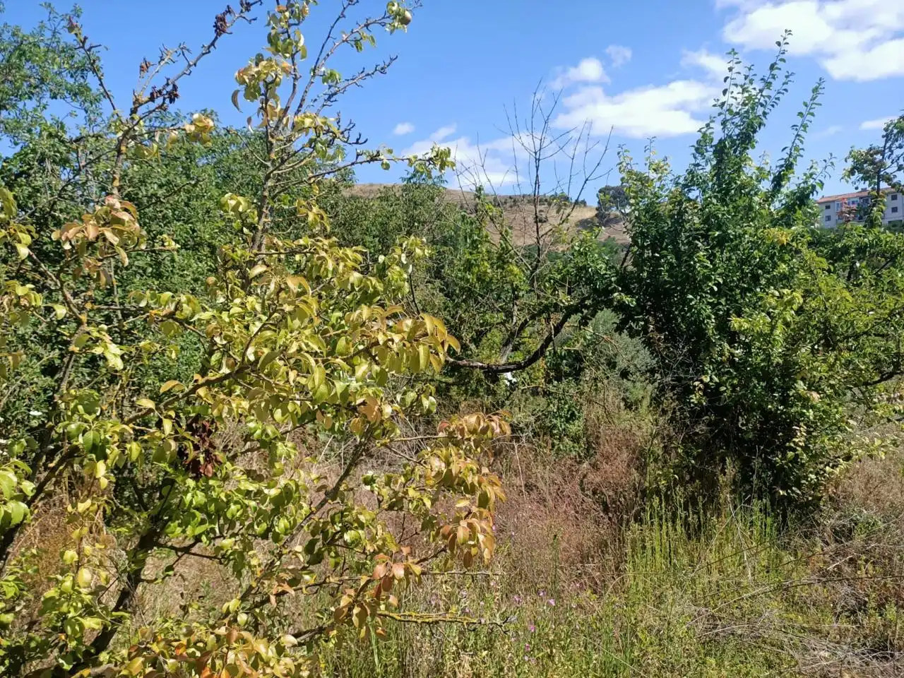 Residential for sale in Ayegui / Aiegi