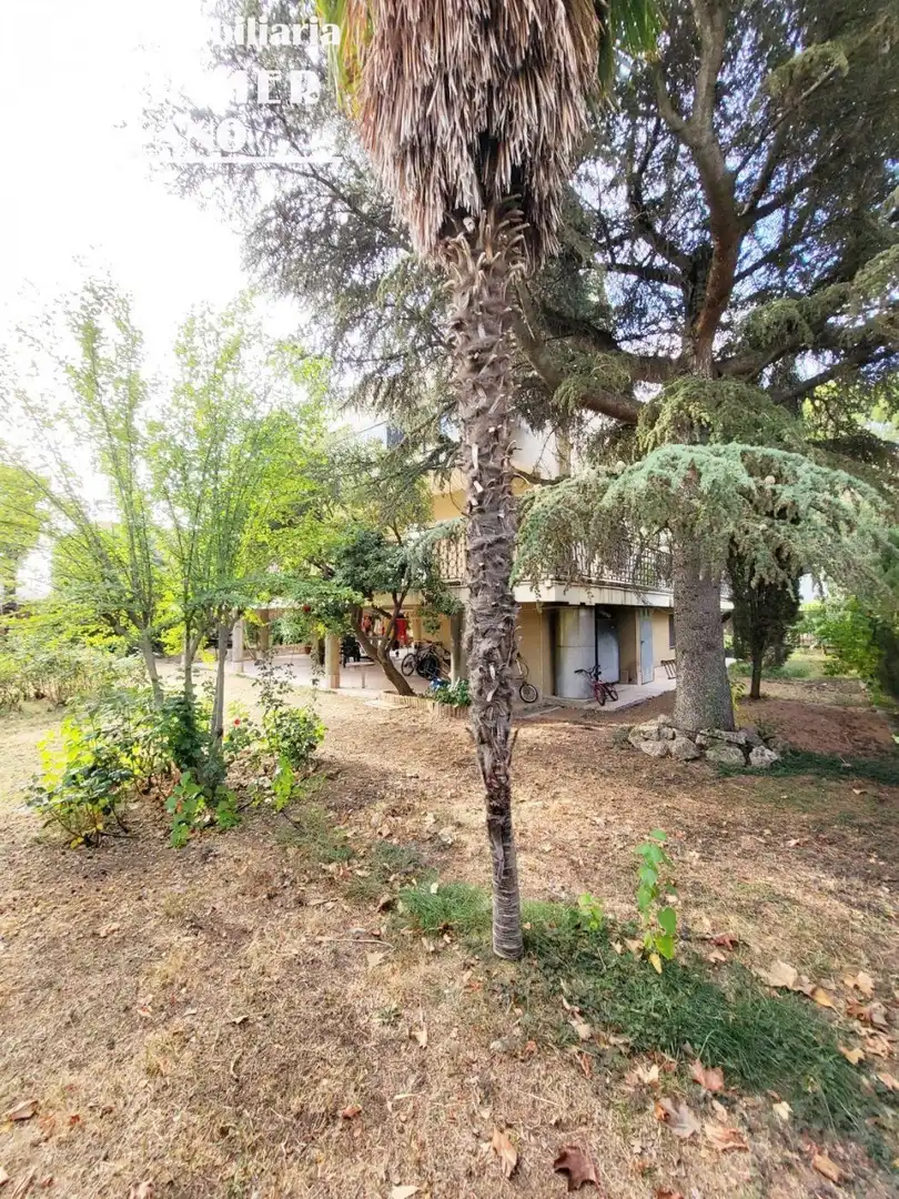 Vista exterior de Casa o chalet en venta en Tomelloso con Aire acondicionado, Jardín privado y Terraza