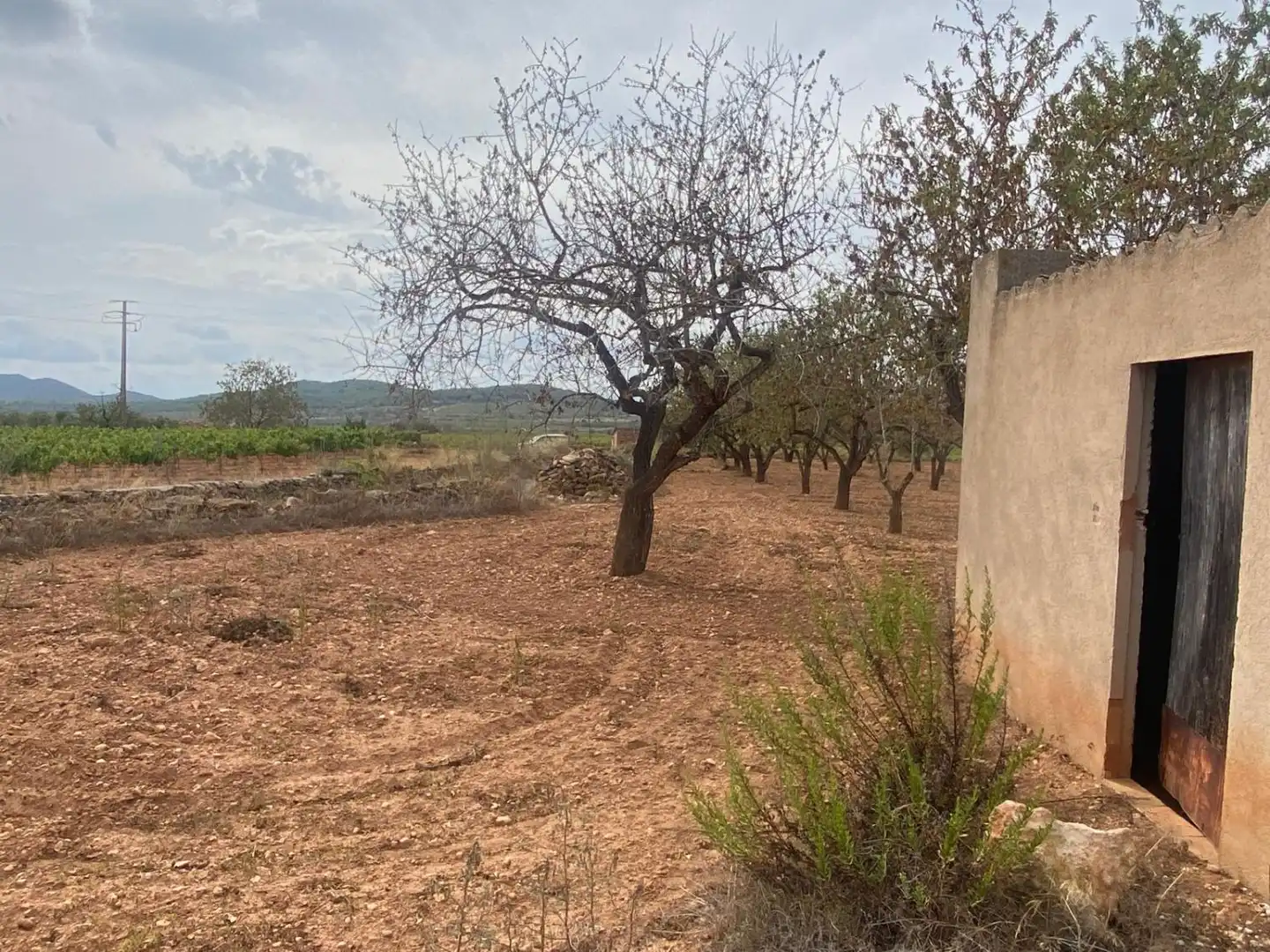 Casa rustica in vendita a Masllorenç, imagen 12