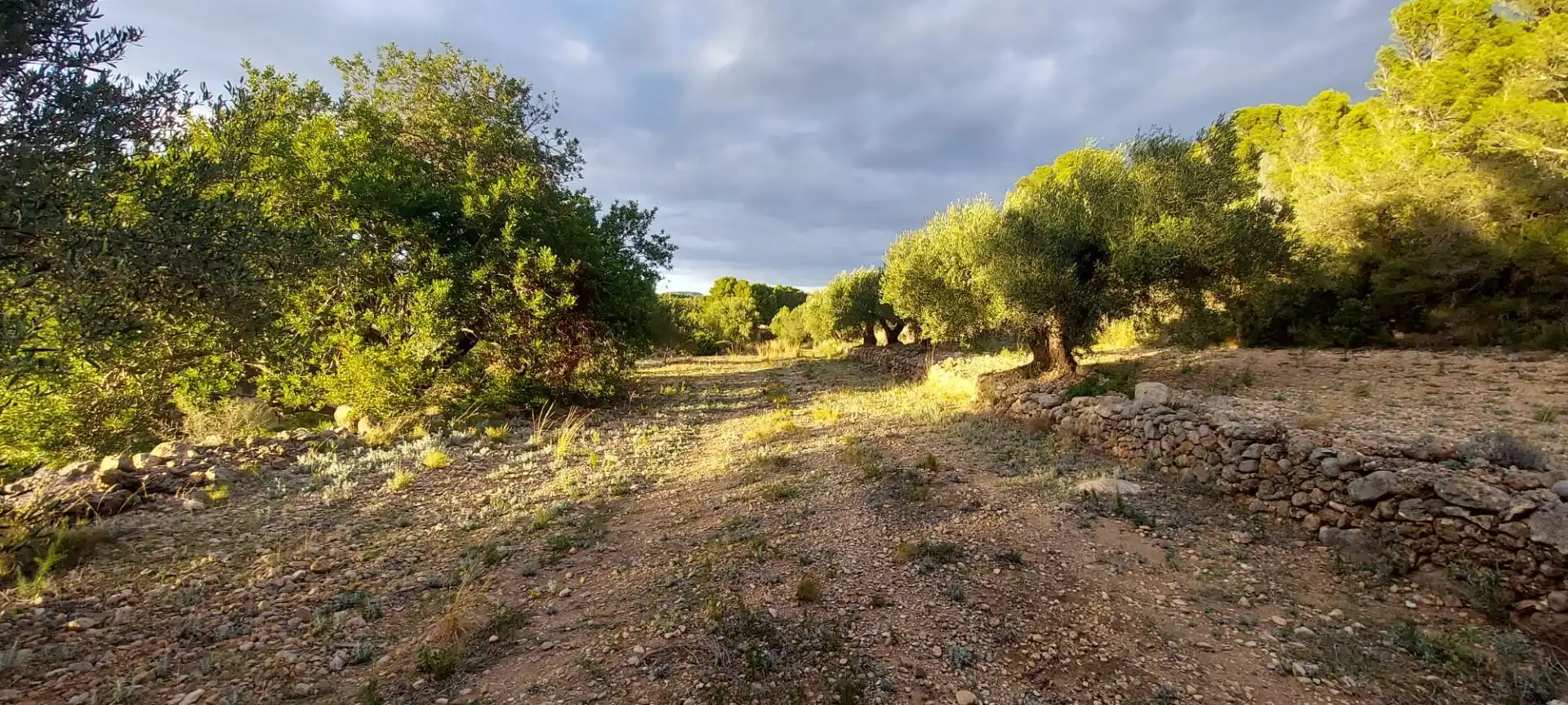 Rural land for sale in Miami Platja, imagen 14