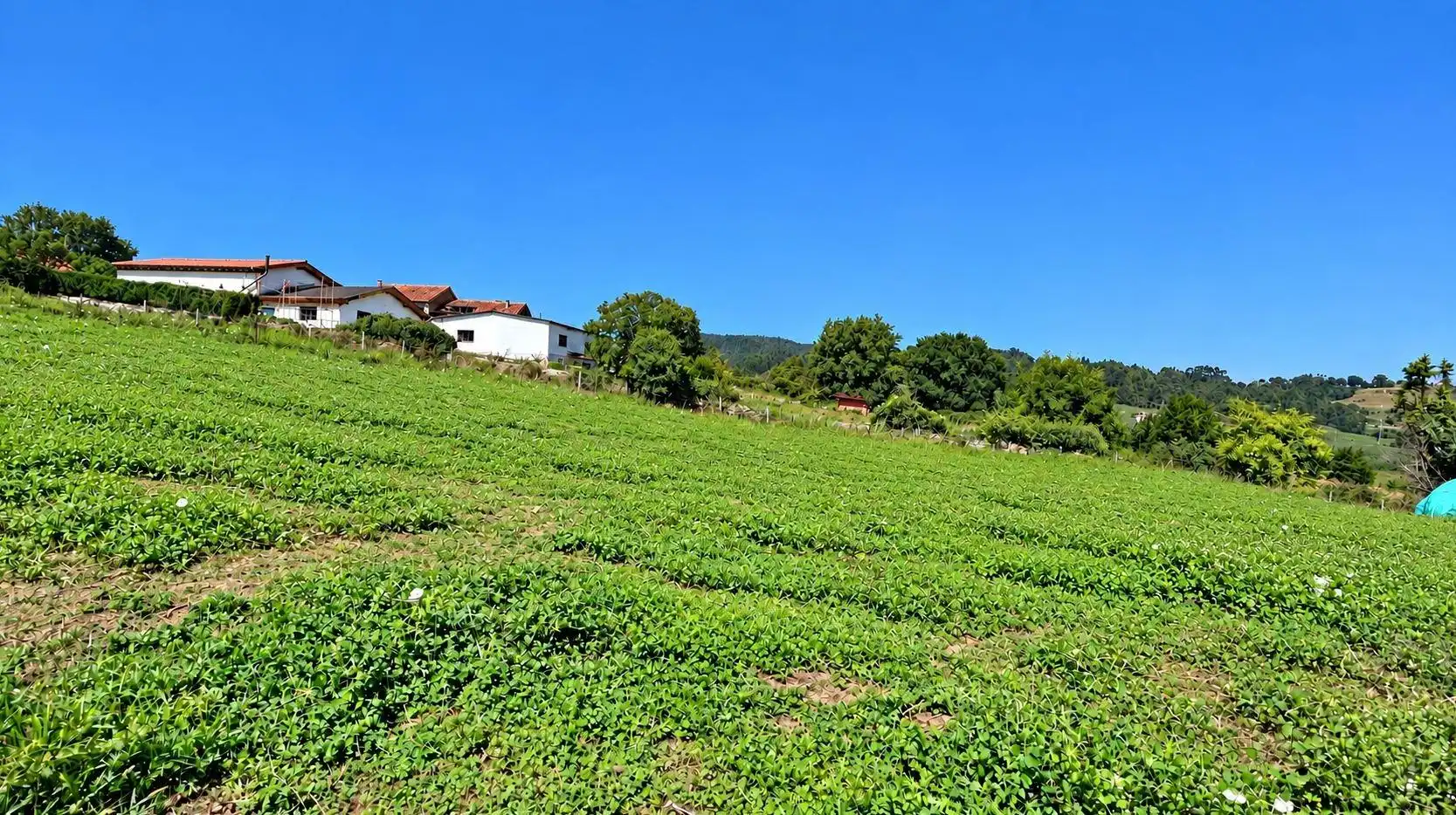 Residential land for sale in Barrio Cerrazo, imagen 8