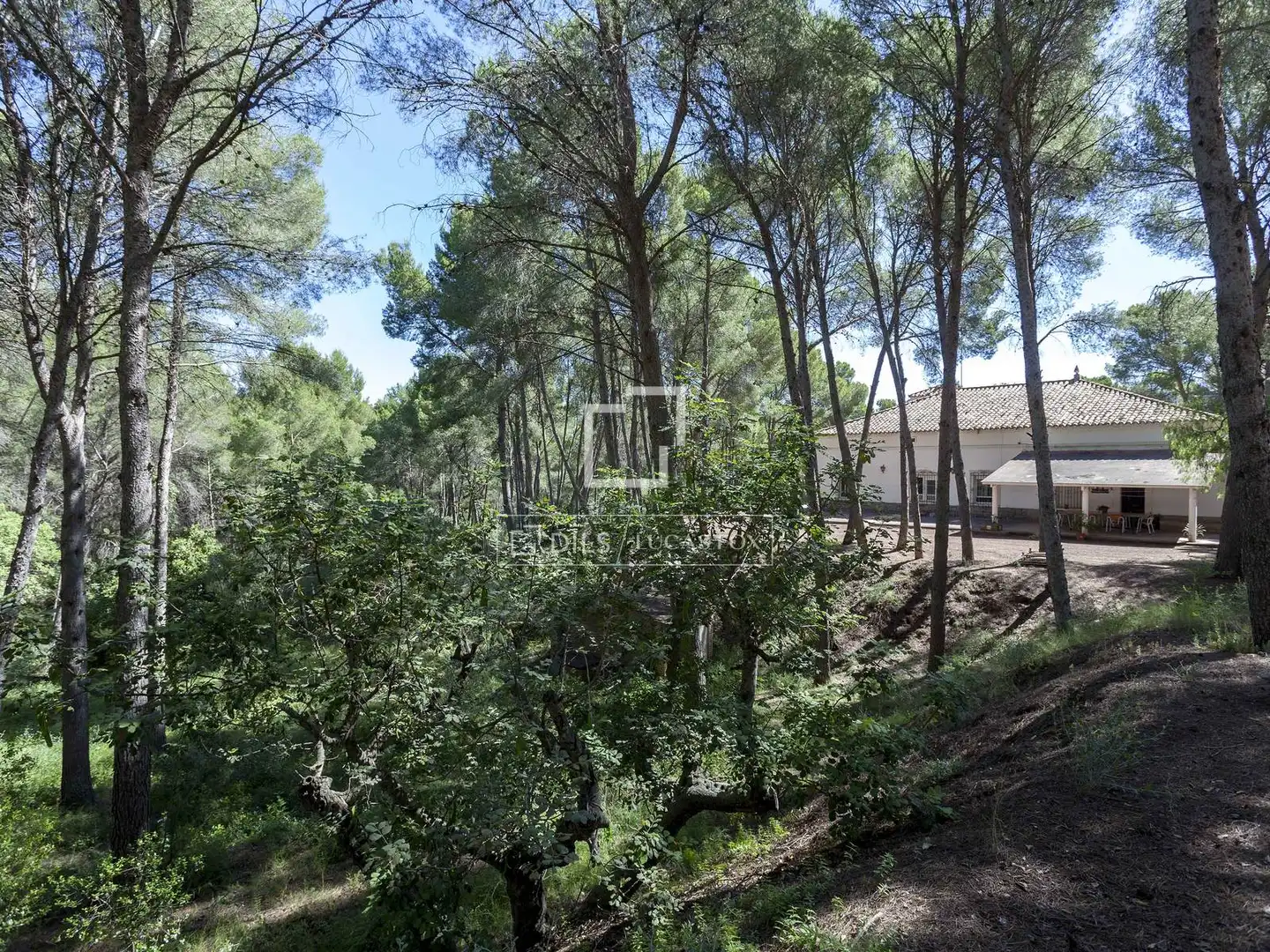 Chalet con jardín en venta en Casco Urbano, imagen 29