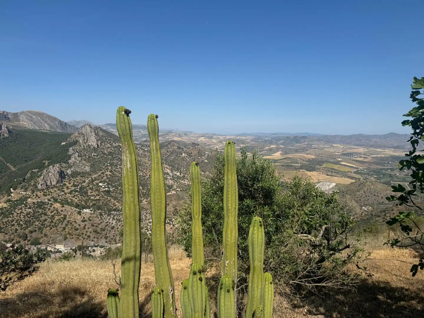 Vista exterior de Finca rústica en venta en Ardales con Jardín privado y Terraza