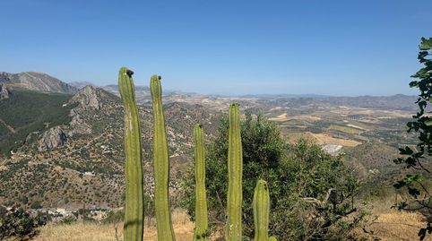 Foto 5 de Finca rústica en venta en Ardales, Málaga