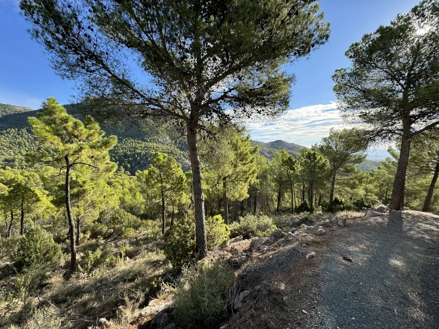 Terreny rústic en venda a Caravaca de la Cruz, imagen 8