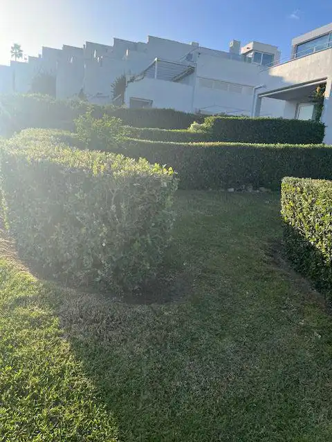 Villa à louer à Paseo Marítimo - San José - La Laguna, imagen 14