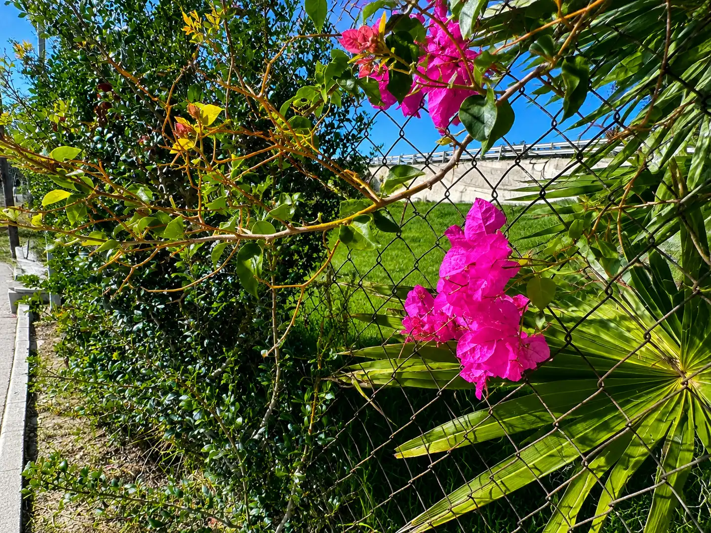 Terreni e lotti in vendita a Playa Bahía Dorada, imagen 10