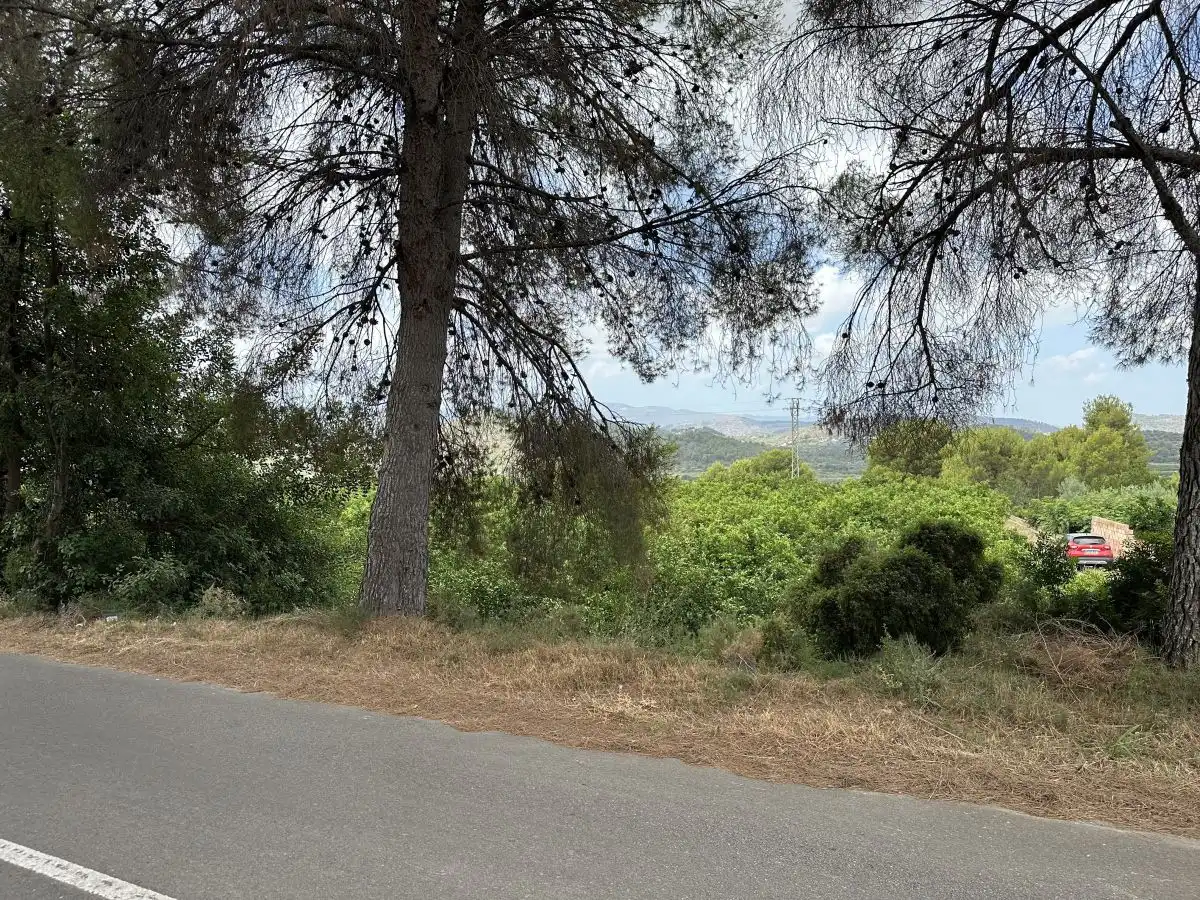 Rural land for sale in Sagunto ciudad, imagen 12