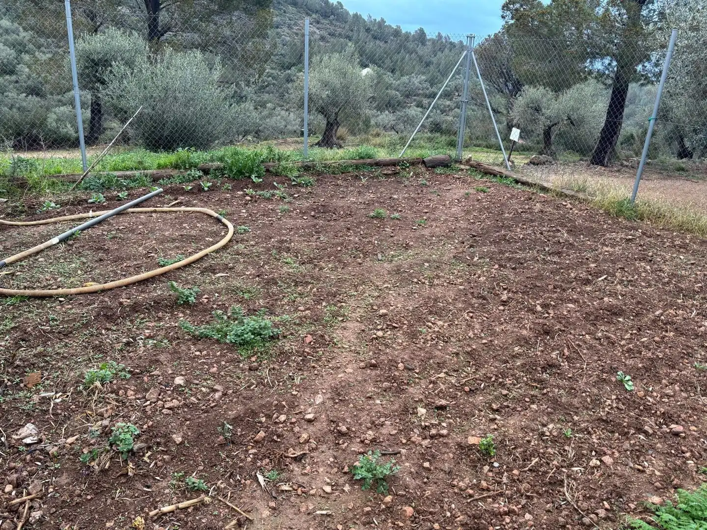 Casa rústica en venta en Alfara de Carles, imagen 16