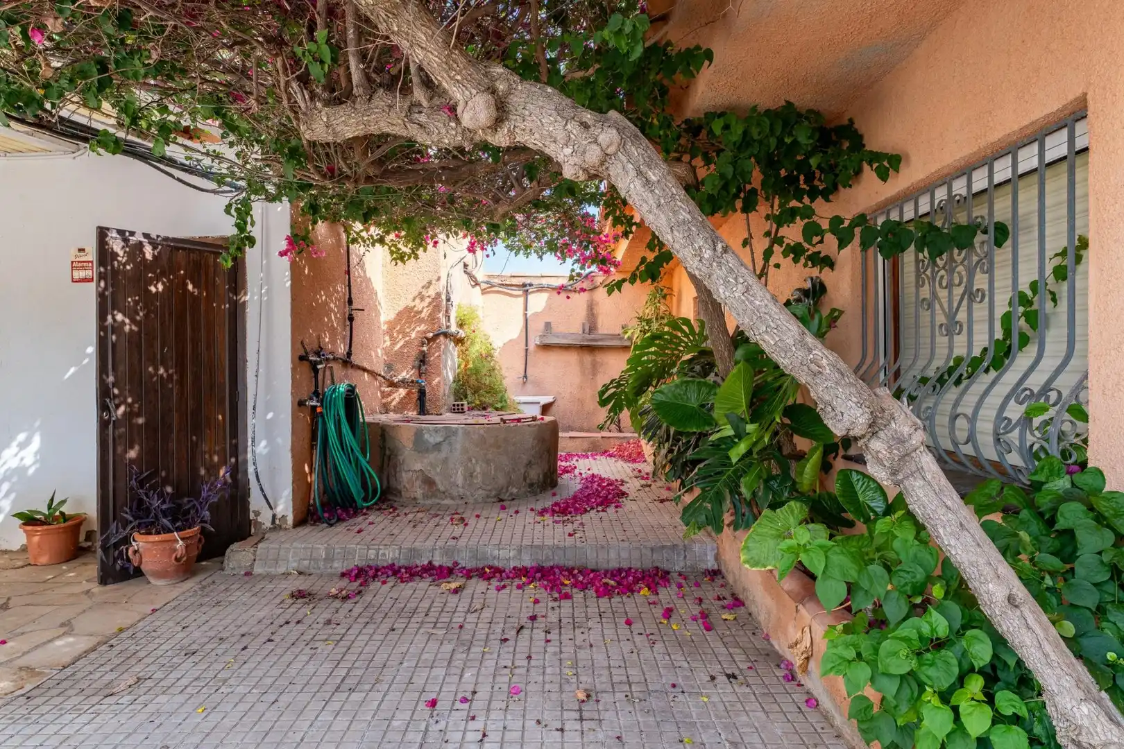 Finca rústica en venda a Polígono 8 Parcela 28, Poble