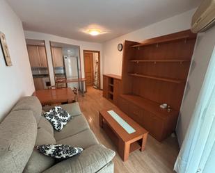 Sala d'estar de Apartament en venda en  Lleida Capital amb Aire condicionat, Calefacció i Parquet