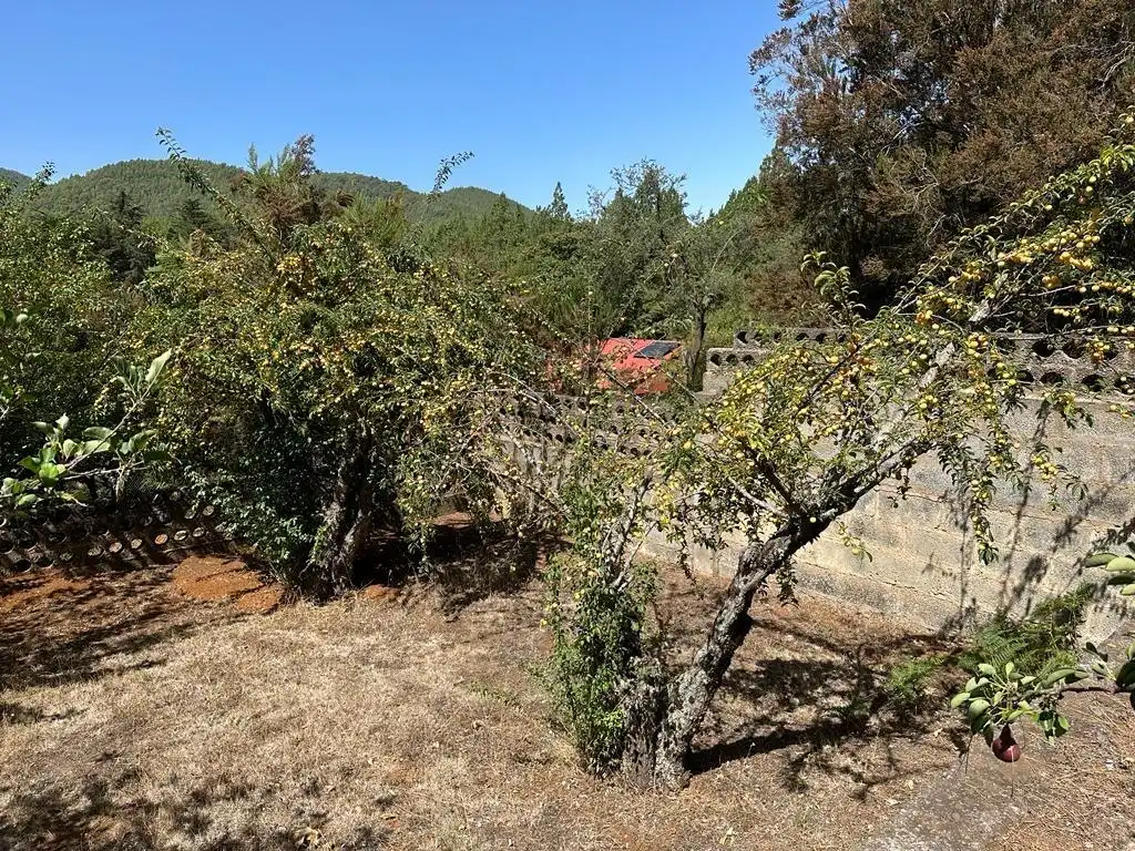 Finca rústica en venta en El Sauzal con Calefacción, Jardín privado y Terraza