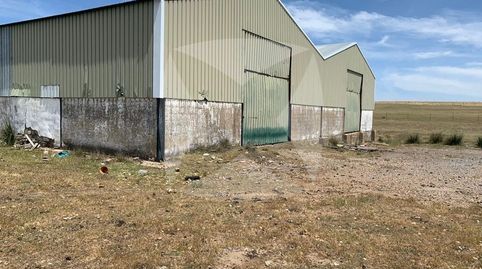 Foto 2 von Fabrikhallen zur Miete in Olivenza, Olivenza, Badajoz