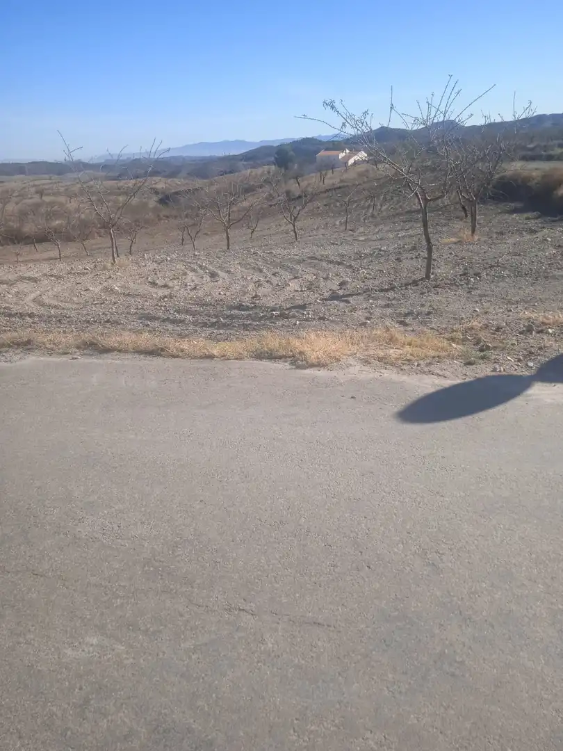 Land for sale in Lorca