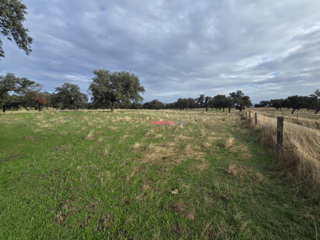 Finca rústica en Venta en Torrecampo