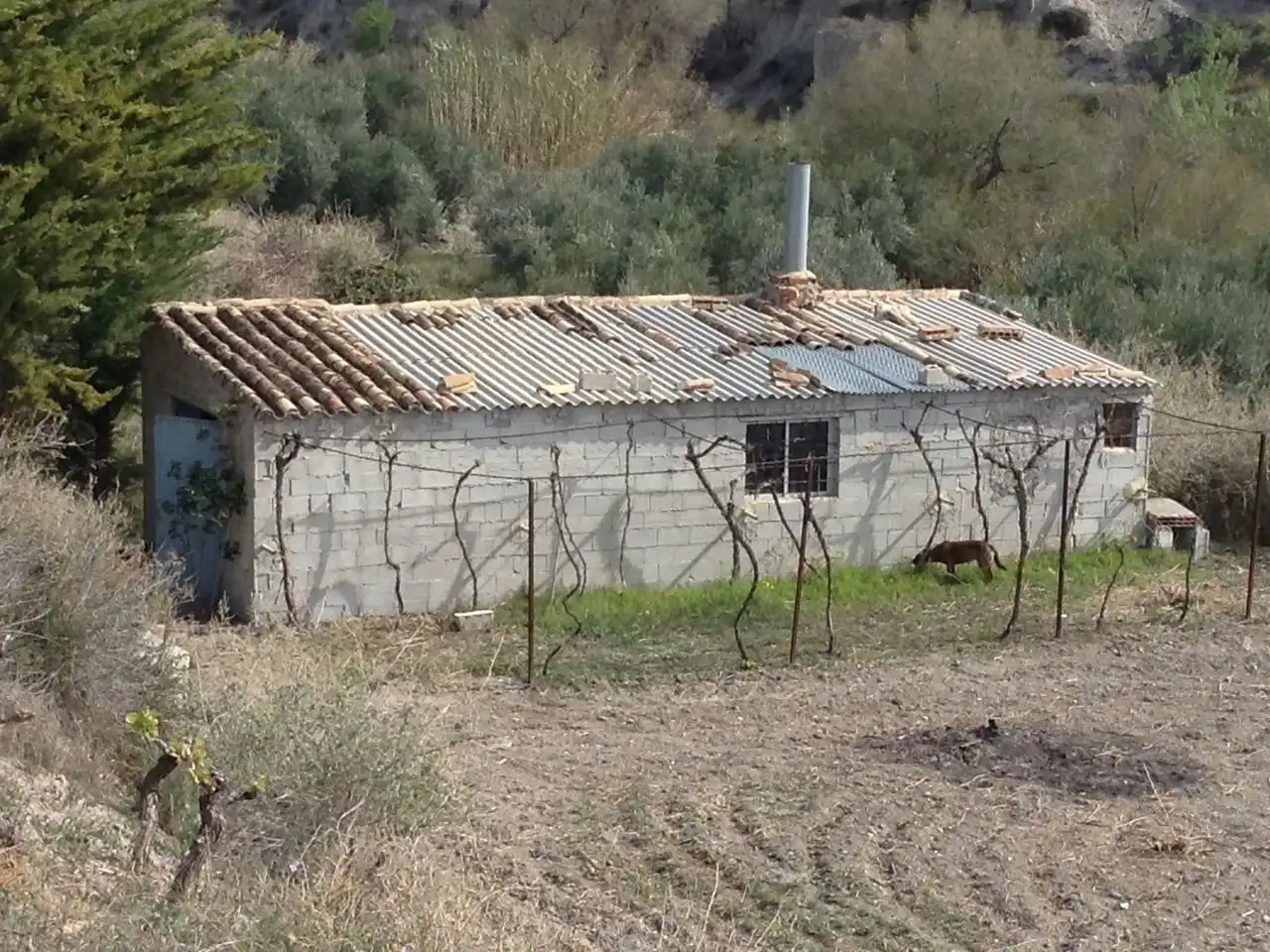 Außenansicht von Residential zum Verkauf in Lúcar