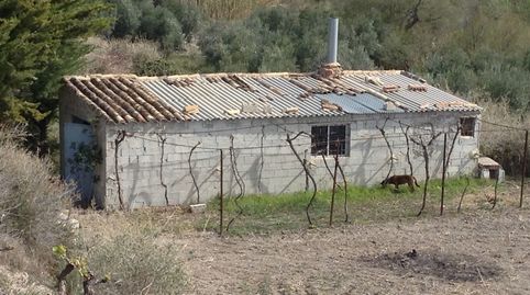 Land Se Vende En Lucar, immagine 2