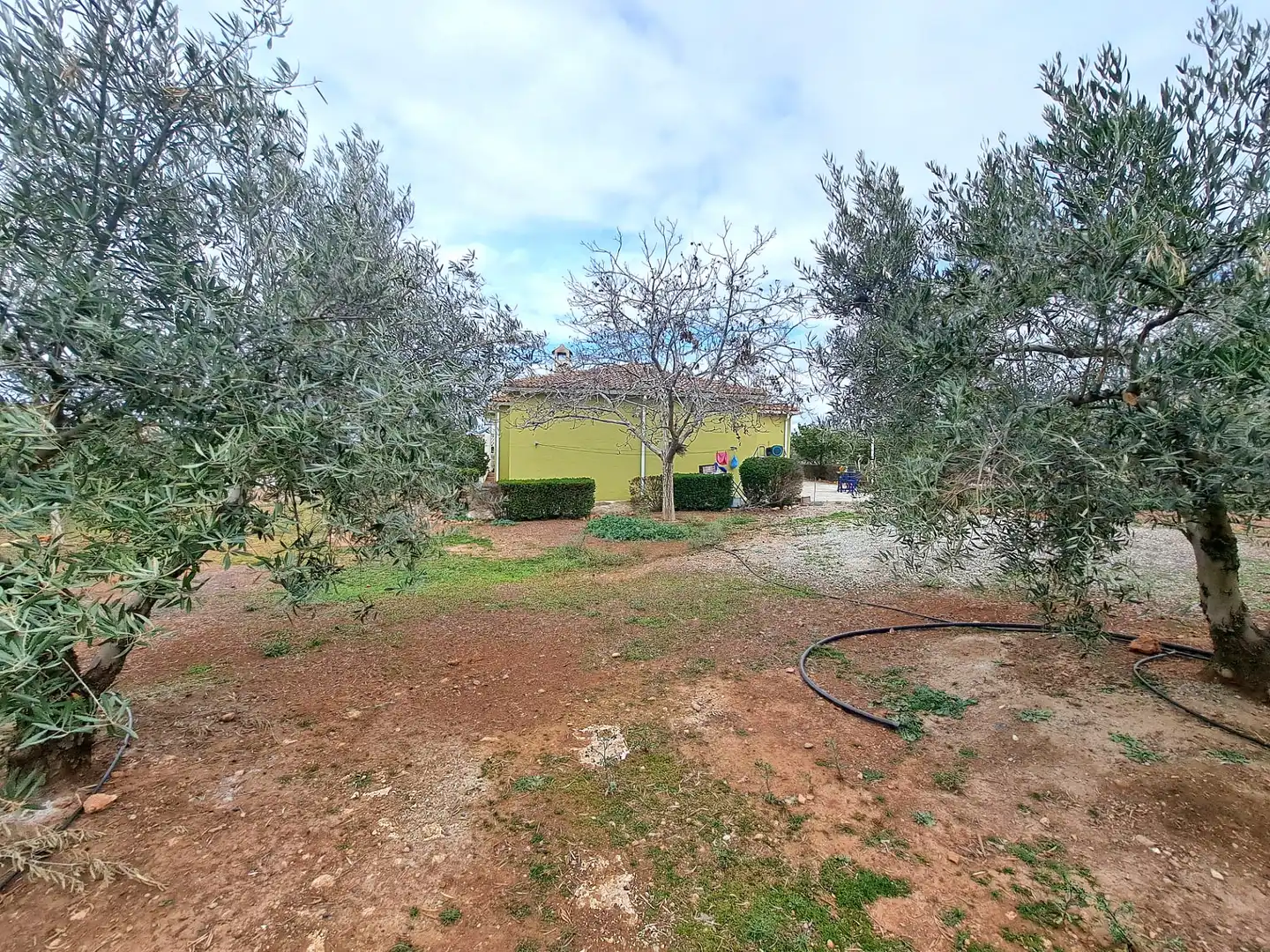 Terreny rústic en venda a Moraleda de Zafayona, imagen 12