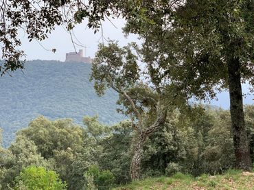 Terreno residenziale in vendita a Sant Feliu de Buixalleu