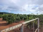 Terrain rustique à vendre à La Loma - Las Lomas, imagen 10