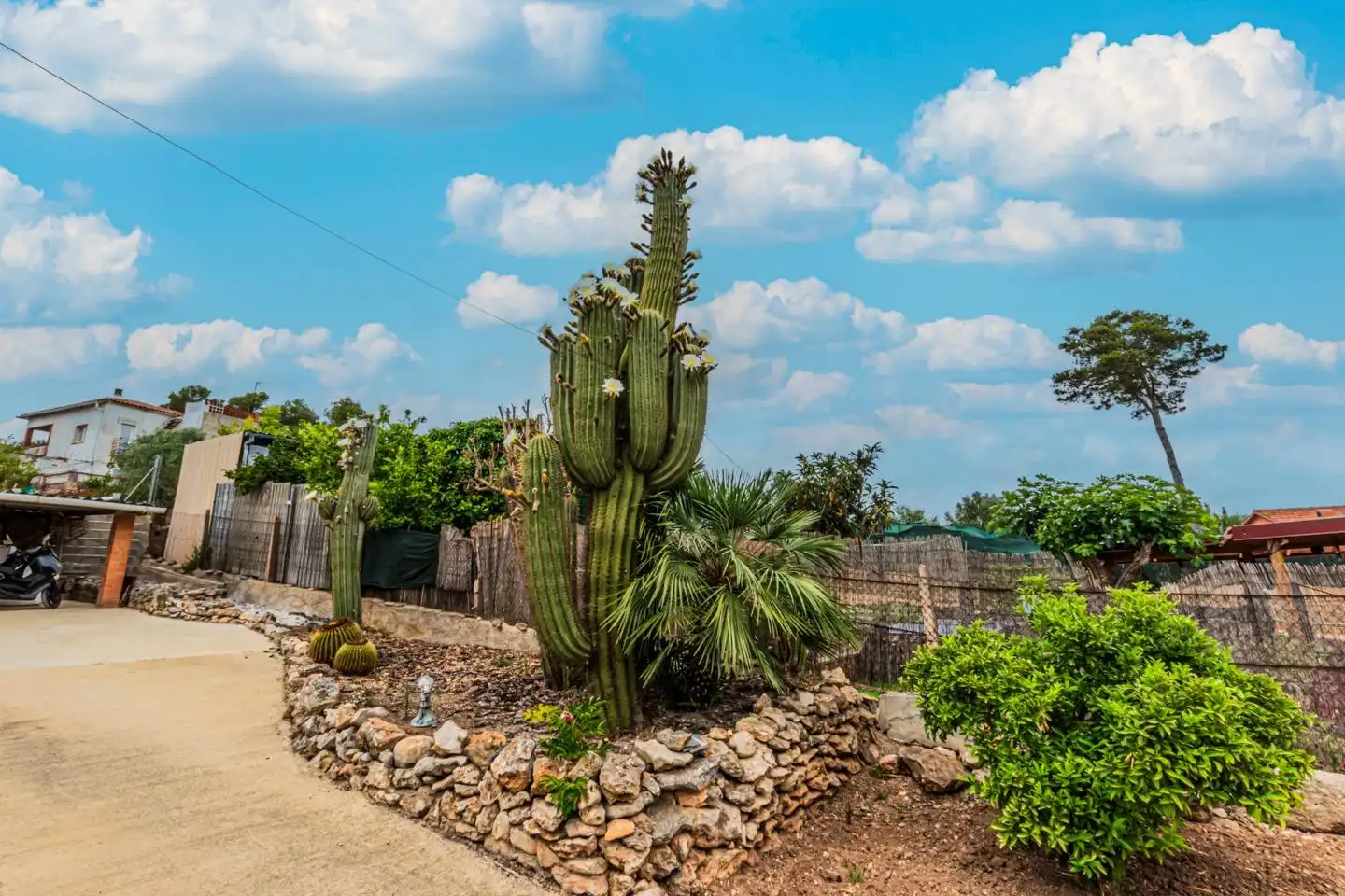 Jardí de Casa o xalet en venda en Avinyonet del Penedès amb Jardí privat, Terrassa i Traster