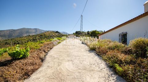 Foto 4 de Finca rústica en venda a Canillas de Aceituno, Málaga