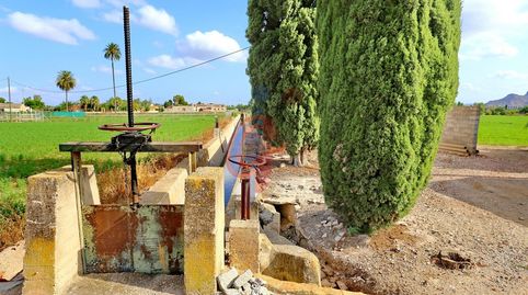Foto 5 de Finca rústica en venda a Vereda Cañizares, 79, Callosa de Segura, Alicante