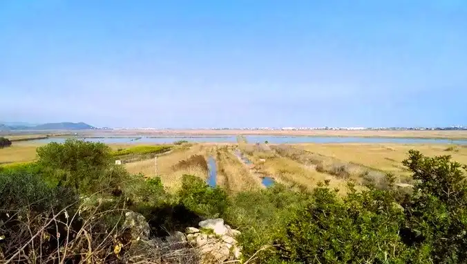 Terreny residencial en venda a Calle las Águilas, imagen 3