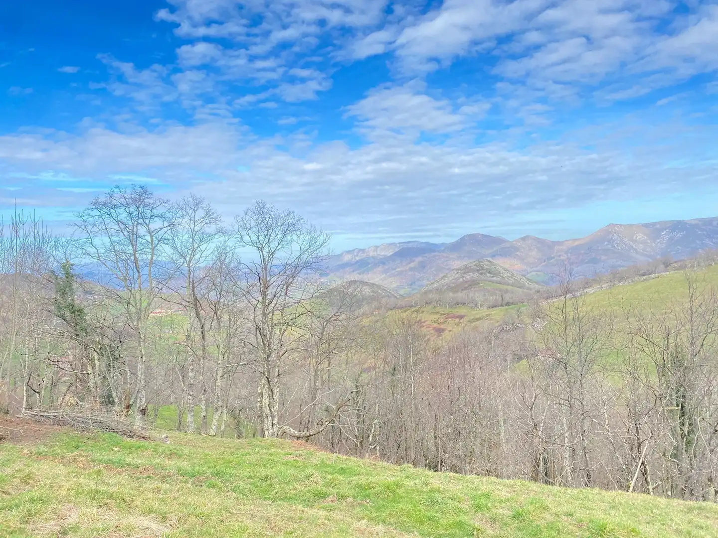 Rural land for sale in Onís, imagen 15
