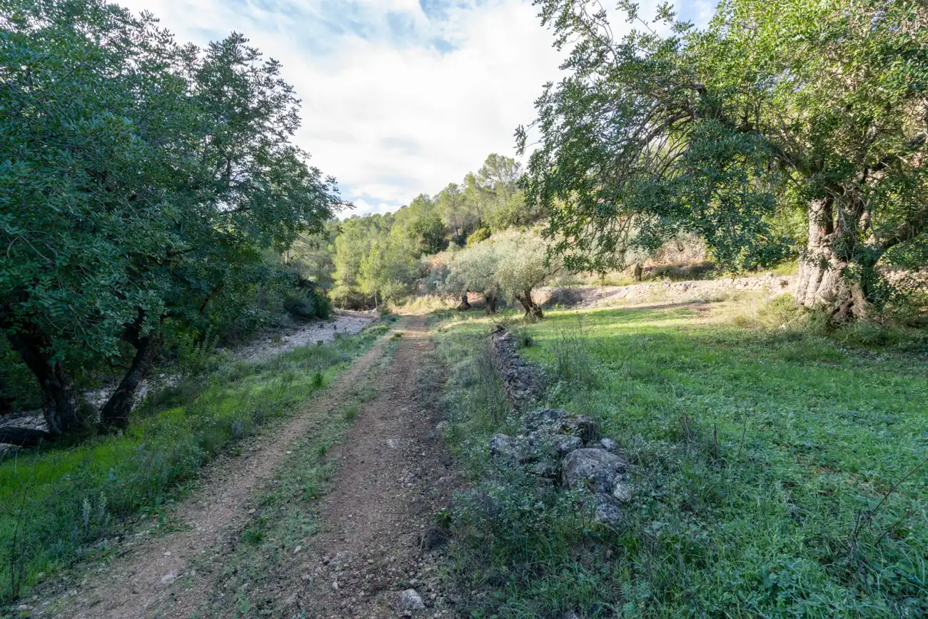 Terrain rustique à vendre à Tivenys, imagen 14