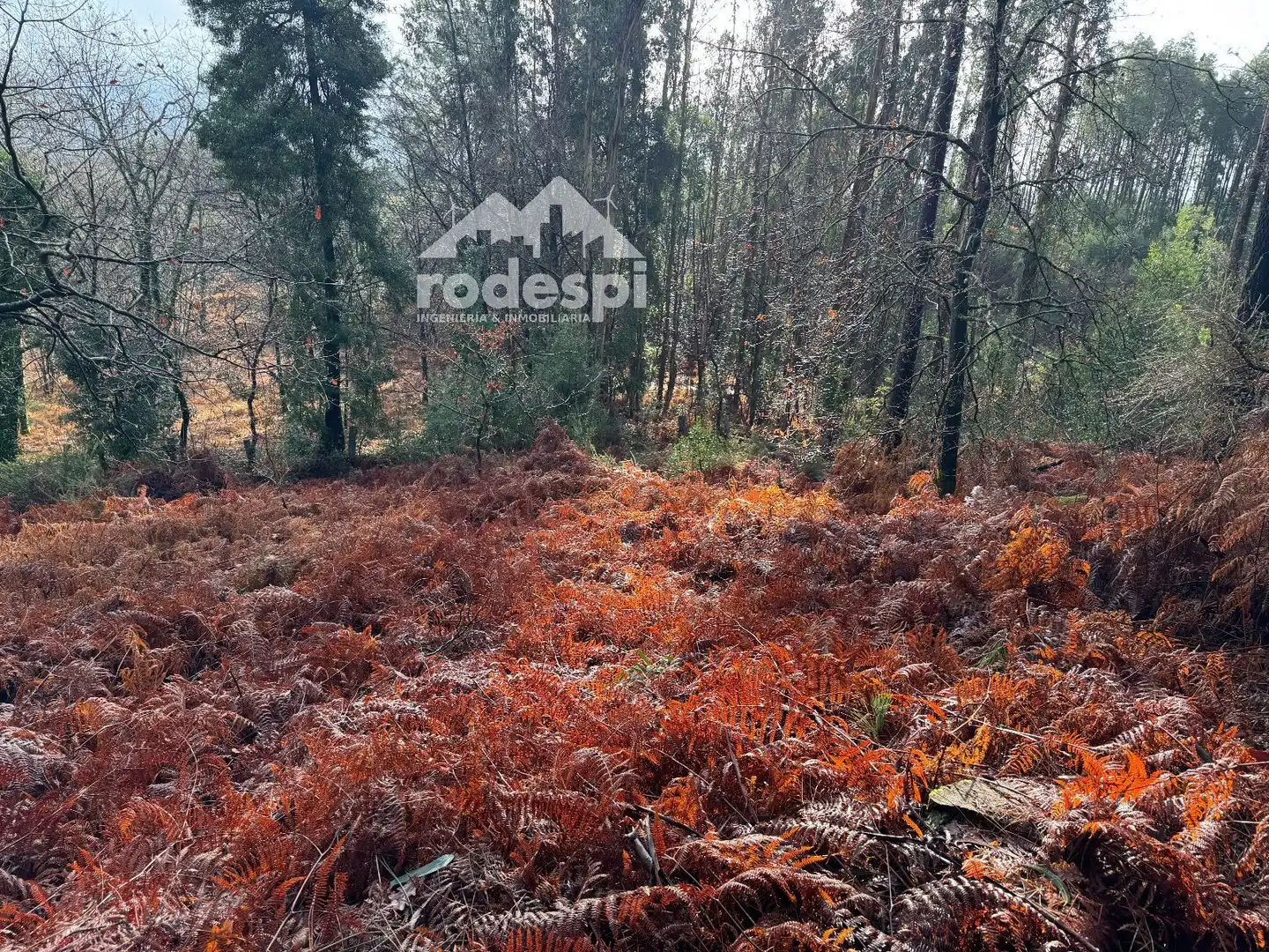 Terrenys i solars en venda a Ponteareas, imagen 3