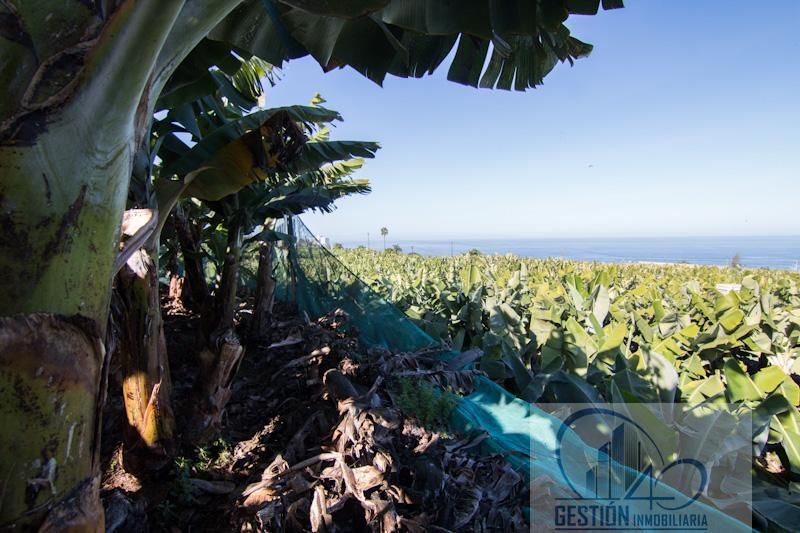 Finca rústica en venta en Puerto de la Cruz