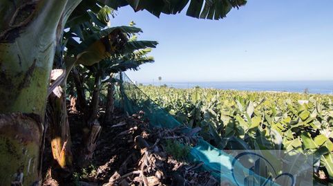 Foto 3 de Finca rústica en venta en Playa Jardín, Puerto de la Cruz