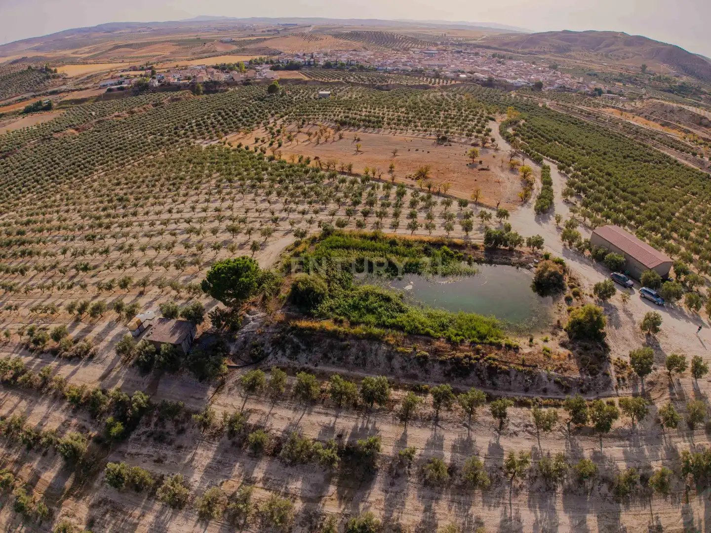 Terreno rústico en venta en 472M+GF La Malahá, Spain, imagen 3