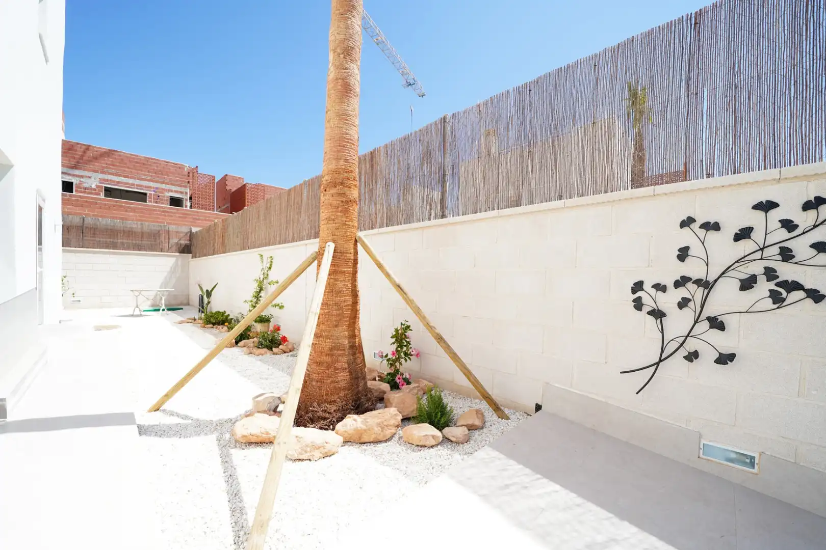 Houses for rent in Pilar de la Horadada ciudad