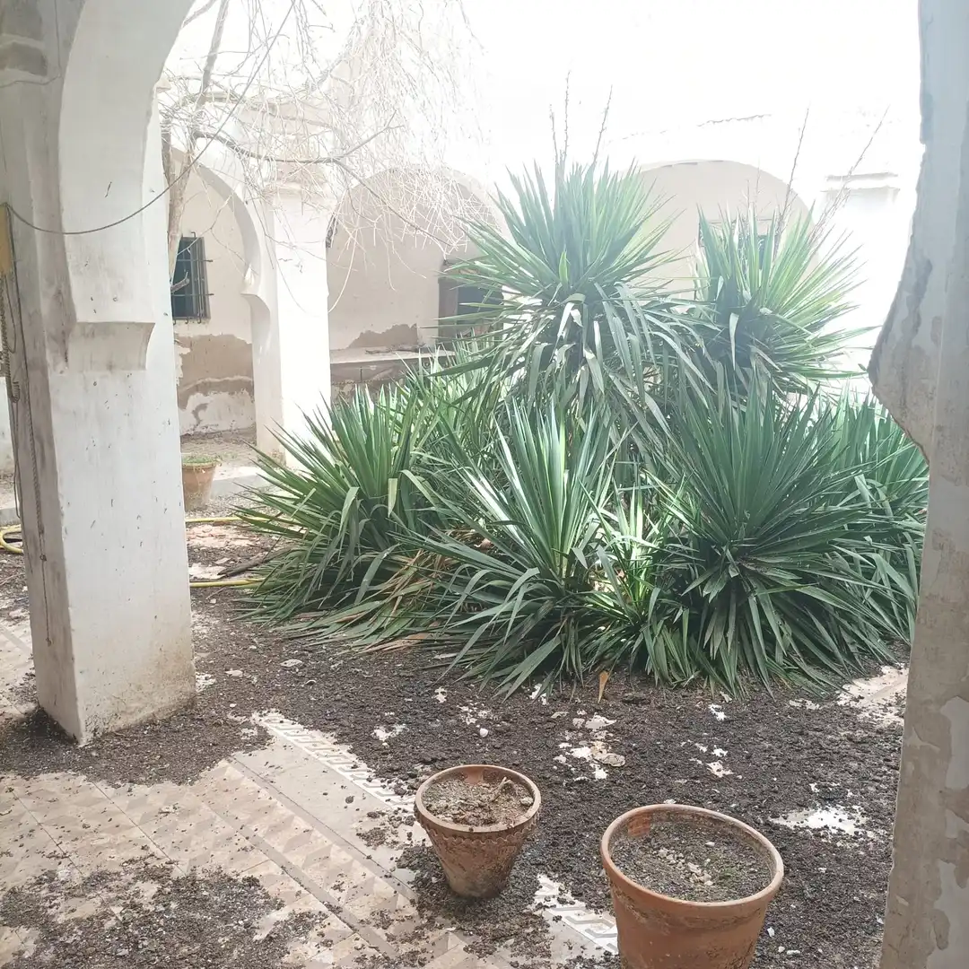 Xalet amb jardí en venda a Villanueva de Alcardete, imagen 3