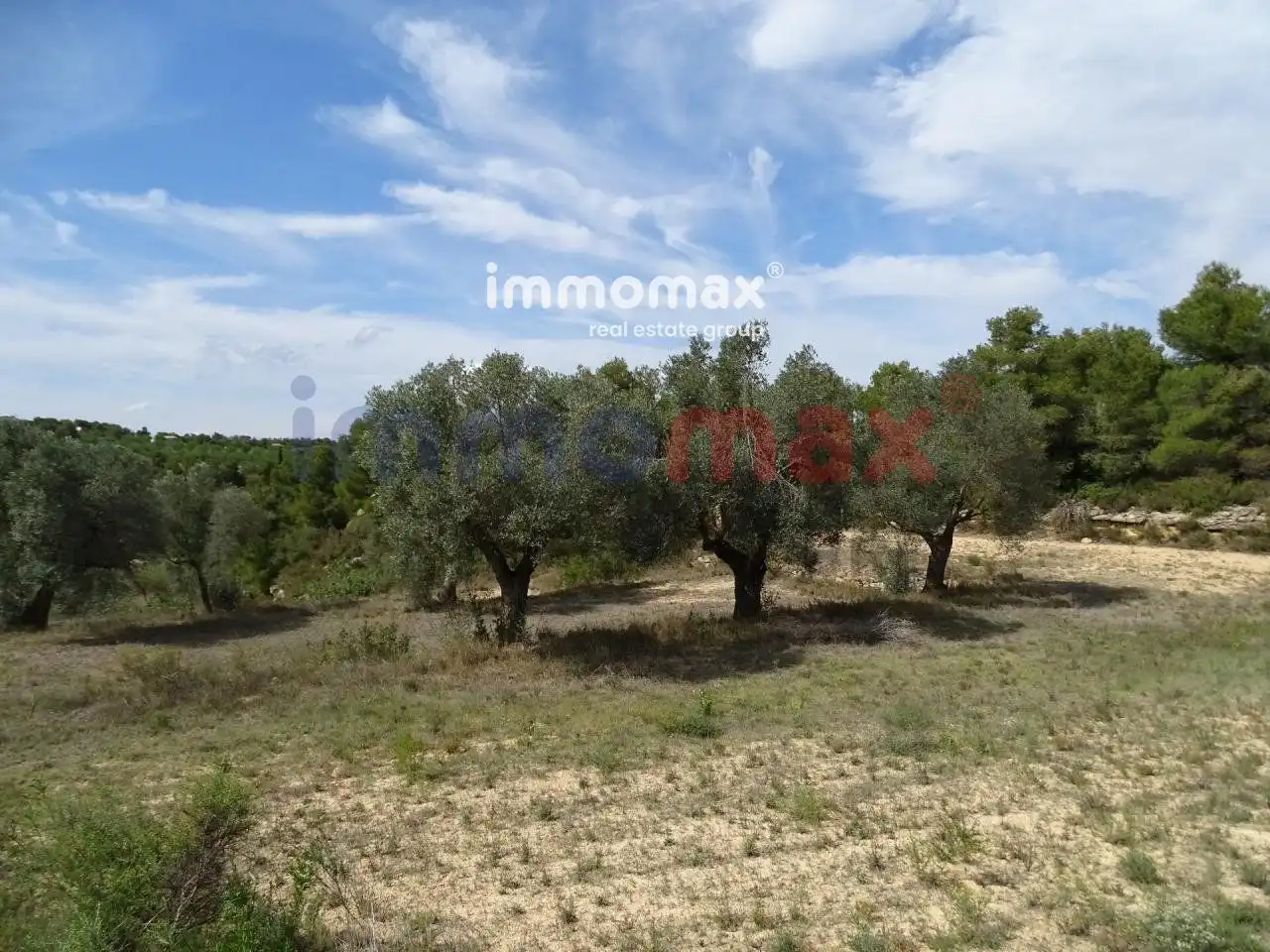 Villa à vendre à Batea, imagen 23