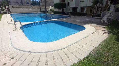 Photo 2 of Apartments for rent in Avinguda del Nord, 13, Playa de Gandia, Gandia