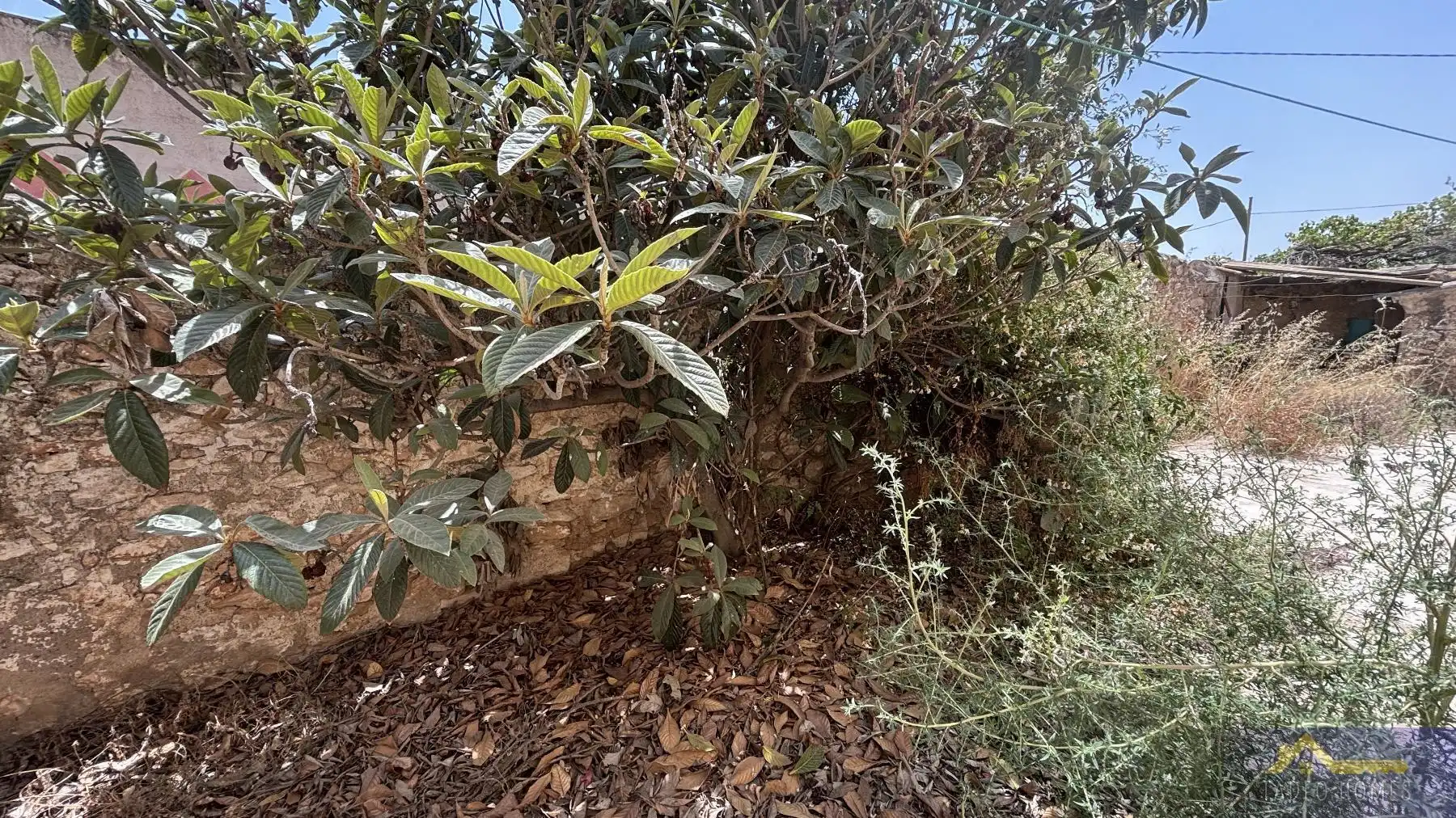 Finca rústica en venda a Paraje Ruices , Los Martinez del Puerto