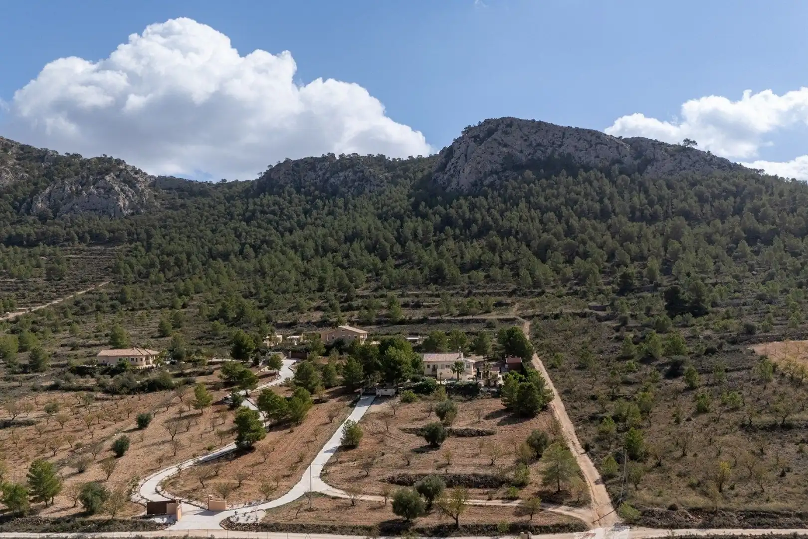 Haus zum Verkauf in Jumilla, imagen 6