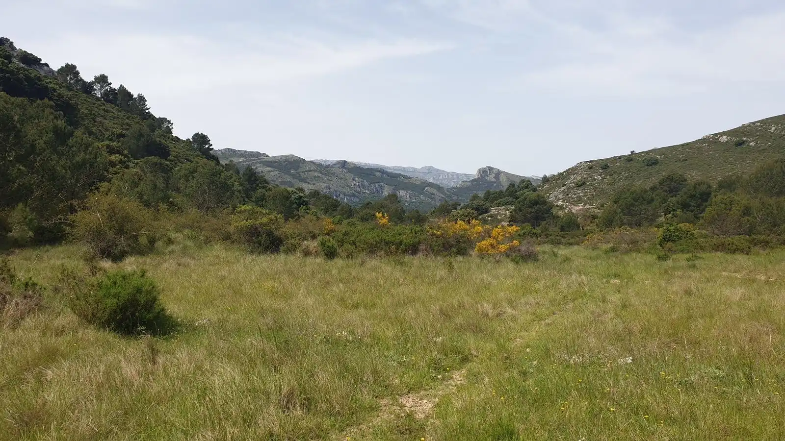 Land for sale in Benigembla