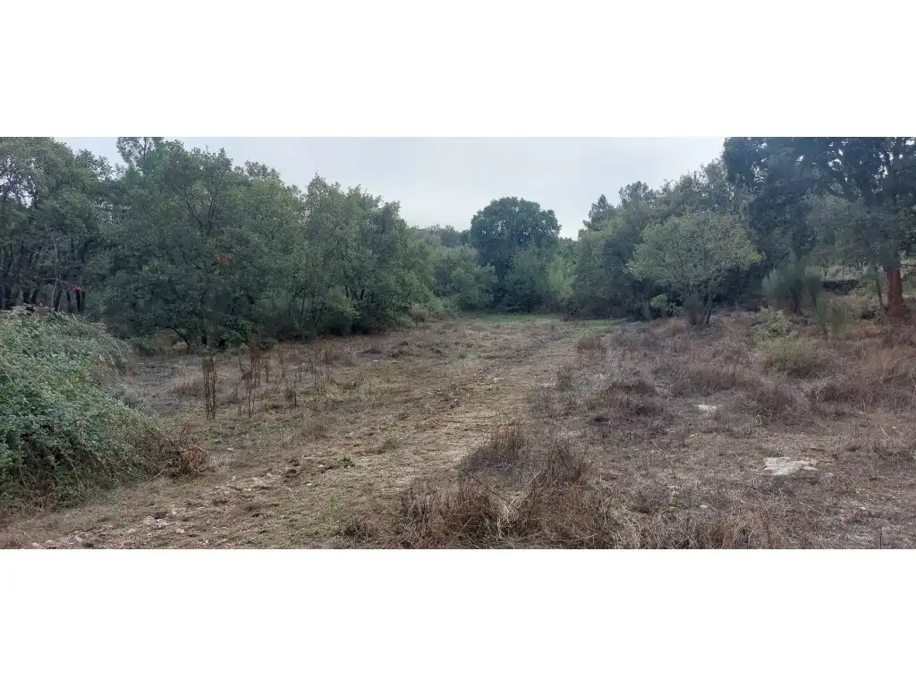 Maison à vendre à Poligono 39 Paraje 484 Rivera Avid, imagen 13