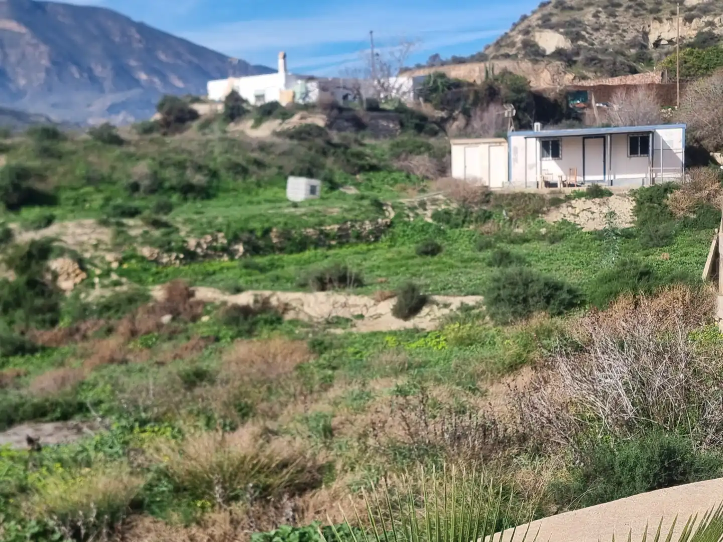 Rural land for sale in Terque, imagen 5