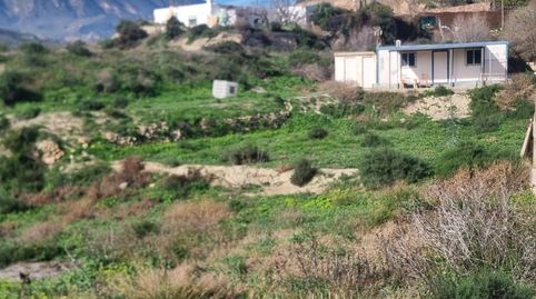 CORTIJO TERQUE, immagine 5